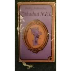 Iraklij Luarsabovič Andronikov - Záhadná N.F.I.